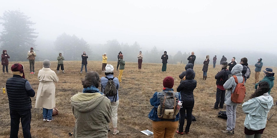 the NETWORK project: A Dialogue on Building Resilience in our Nature Bodies