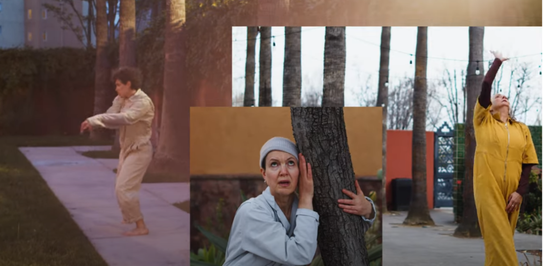 Reflections on Tierra y Raices 2024